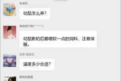 竹鼠养殖技术交流群