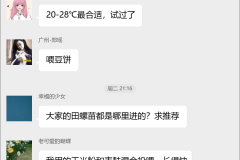 田螺养殖技术群