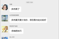 花卉种植交流群