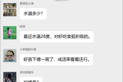 南美白对虾养殖群