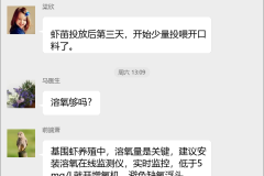 基围虾养殖技术群