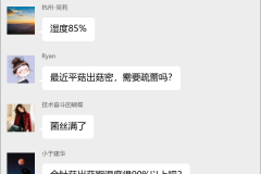 食用菌种植技术群