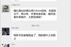 盆景艺术创作群