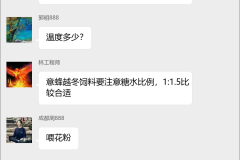 意蜂养殖技术群