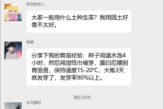 生菜种植技术群