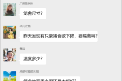 豪猪养殖技术交流群