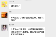 青蛙养殖技术群