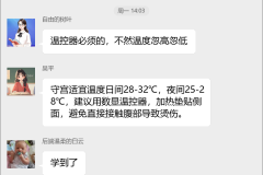 爬宠饲养繁育群