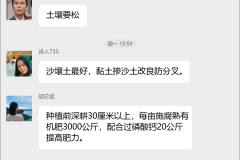 胡萝卜种植技术群