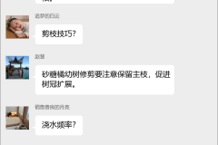 砂糖橘种植技术群