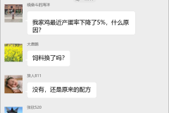 蛋鸡养殖技术交流群