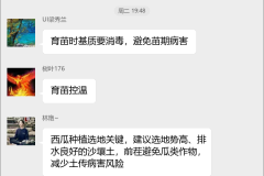 西瓜种植技术群