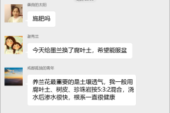 兰花种植技术群