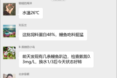 鳗鱼养殖技术交流群