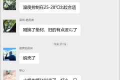 白玉蜗牛养殖群