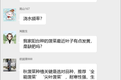 菠菜种植技术交流群