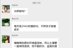 捕蝇草种植技术群