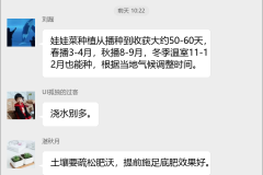 娃娃菜种植技术群