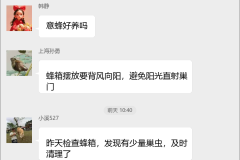 蜜蜂养殖采蜜技巧群