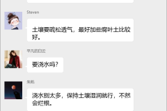 香葱种植技术群