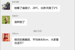 黄鳝养殖技术群