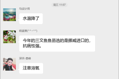 三文鱼养殖技术群