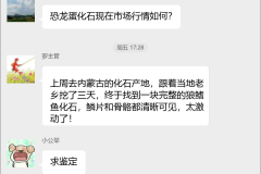 化石收藏交流群