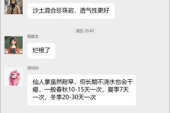 仙人掌种植技术群