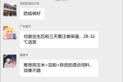 野猪养殖技术交流群