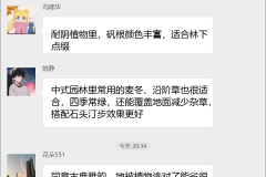 园林绿化设计群