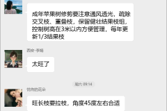 果树修剪技术交流群