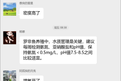 罗非鱼养殖技术群