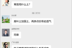 黄瓜种植技术交流群