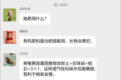 草莓种植技术交流群