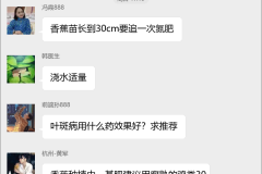 香蕉种植技术群