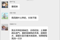 扁豆种植技术交流群