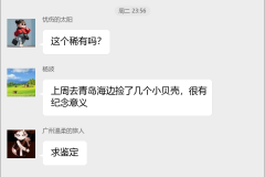 贝壳收藏交流群