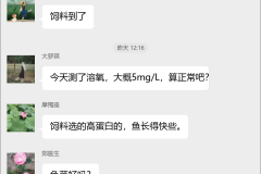 鳜鱼养殖技术群