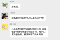 石斑鱼养殖技术群