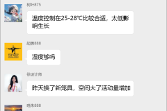 蝈蝈养殖技术群