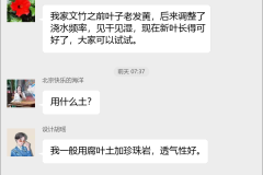 文竹种植技术交流群