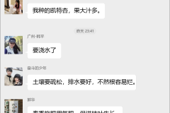 杏种植技术交流群