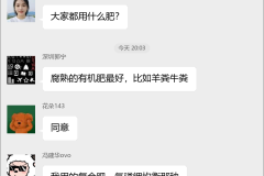 金银花种植技术群