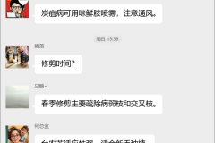 芒果种植技术交流群