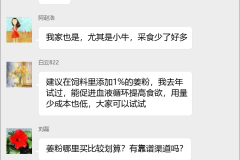 畜牧养殖互助群