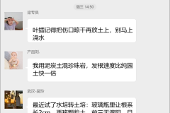 多肉植物繁育群