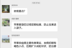 苹果种植技术群